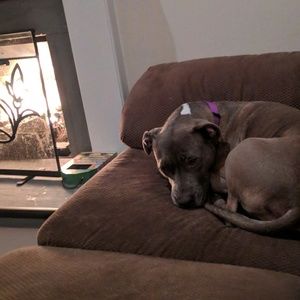 Meet your Posher, Hillary